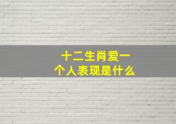 十二生肖爱一个人表现是什么