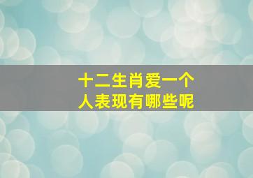 十二生肖爱一个人表现有哪些呢