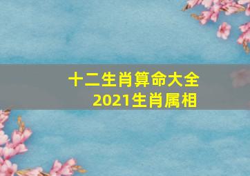 十二生肖算命大全2021生肖属相