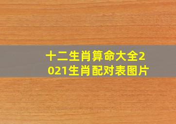 十二生肖算命大全2021生肖配对表图片