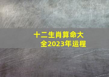 十二生肖算命大全2023年运程