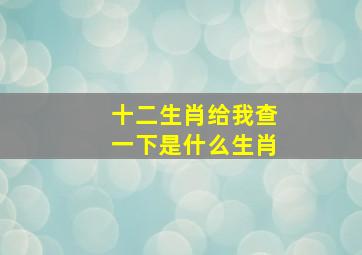 十二生肖给我查一下是什么生肖