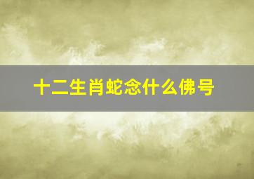 十二生肖蛇念什么佛号