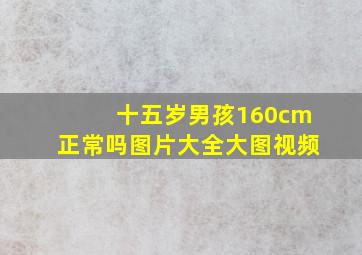 十五岁男孩160cm正常吗图片大全大图视频