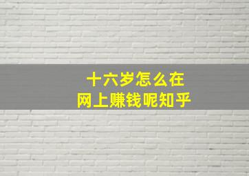 十六岁怎么在网上赚钱呢知乎