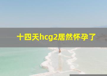 十四天hcg2居然怀孕了