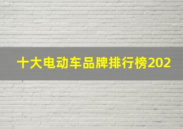 十大电动车品牌排行榜202