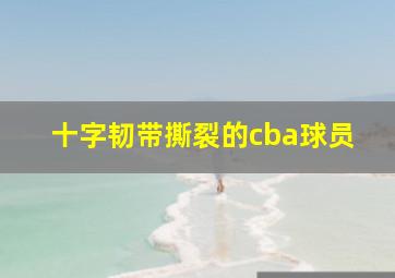 十字韧带撕裂的cba球员