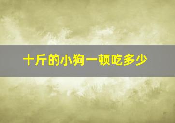 十斤的小狗一顿吃多少