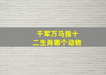 千军万马指十二生肖哪个动物