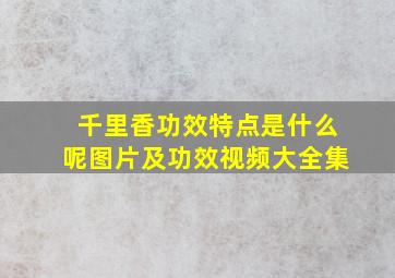 千里香功效特点是什么呢图片及功效视频大全集