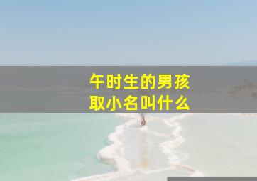 午时生的男孩取小名叫什么