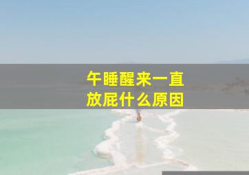 午睡醒来一直放屁什么原因