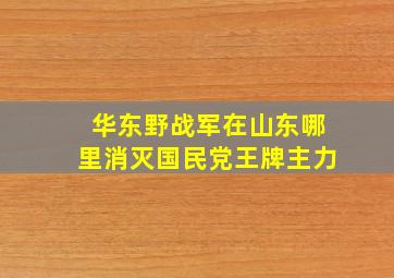 华东野战军在山东哪里消灭国民党王牌主力