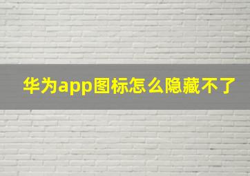 华为app图标怎么隐藏不了