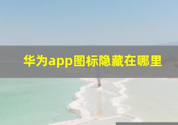 华为app图标隐藏在哪里