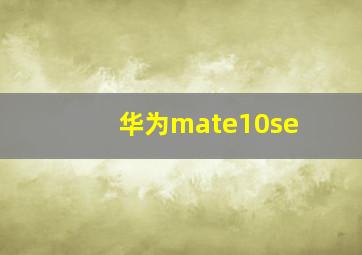 华为mate10se