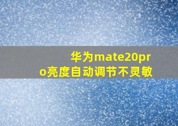 华为mate20pro亮度自动调节不灵敏