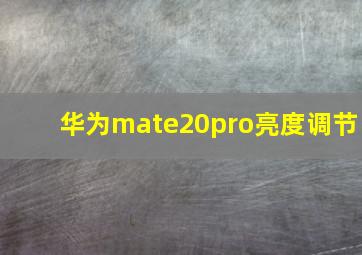 华为mate20pro亮度调节