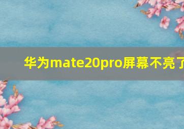 华为mate20pro屏幕不亮了