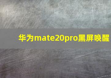 华为mate20pro黑屏唤醒