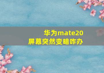 华为mate20屏幕突然变暗咋办