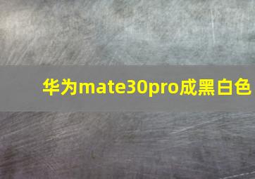 华为mate30pro成黑白色