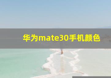 华为mate30手机颜色