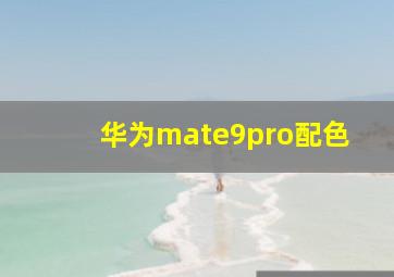 华为mate9pro配色