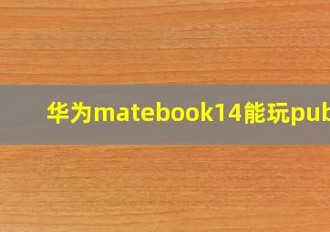 华为matebook14能玩pubg吗