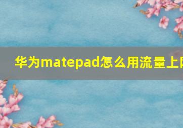 华为matepad怎么用流量上网