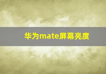 华为mate屏幕亮度