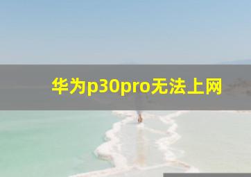 华为p30pro无法上网