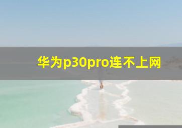 华为p30pro连不上网