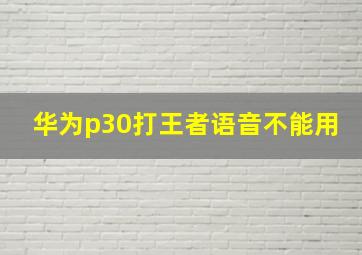 华为p30打王者语音不能用