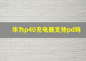 华为p40充电器支持pd吗