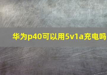 华为p40可以用5v1a充电吗