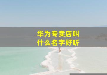 华为专卖店叫什么名字好听