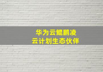 华为云鲲鹏凌云计划生态伙伴