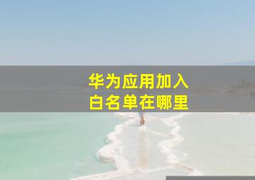 华为应用加入白名单在哪里