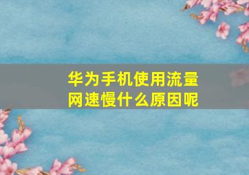 华为手机使用流量网速慢什么原因呢