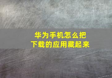 华为手机怎么把下载的应用藏起来