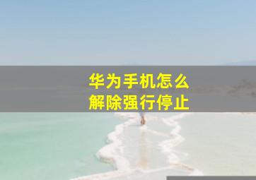 华为手机怎么解除强行停止