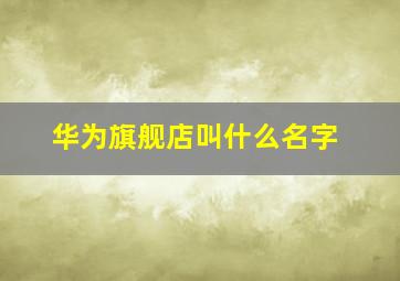 华为旗舰店叫什么名字