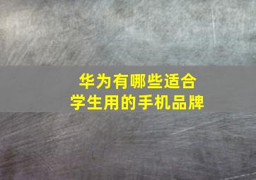 华为有哪些适合学生用的手机品牌