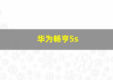 华为畅亨5s