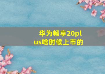 华为畅享20plus啥时候上市的