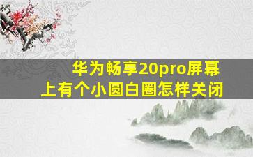 华为畅享20pro屏幕上有个小圆白圈怎样关闭