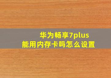 华为畅享7plus能用内存卡吗怎么设置