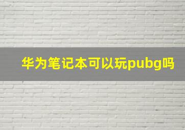 华为笔记本可以玩pubg吗